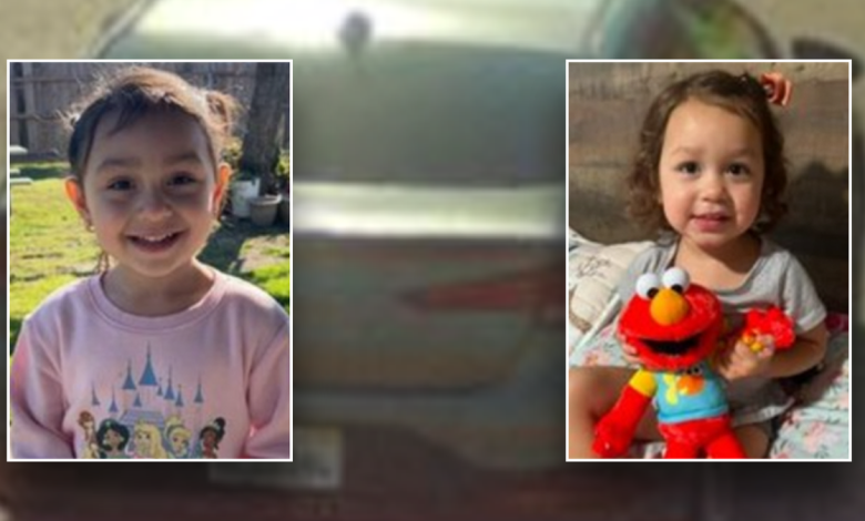 Aryana Maldonado, 3, and her sister, Alana, 2