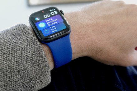 Apple hit by lawsuit over harmful 'forever chemicals' in Watch bands