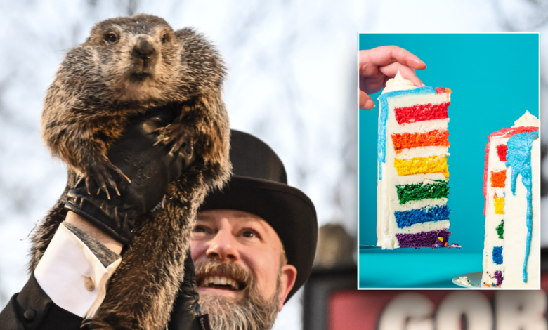 Split of groundhog, cake