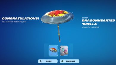 Fortnite Dragonhearted Brella