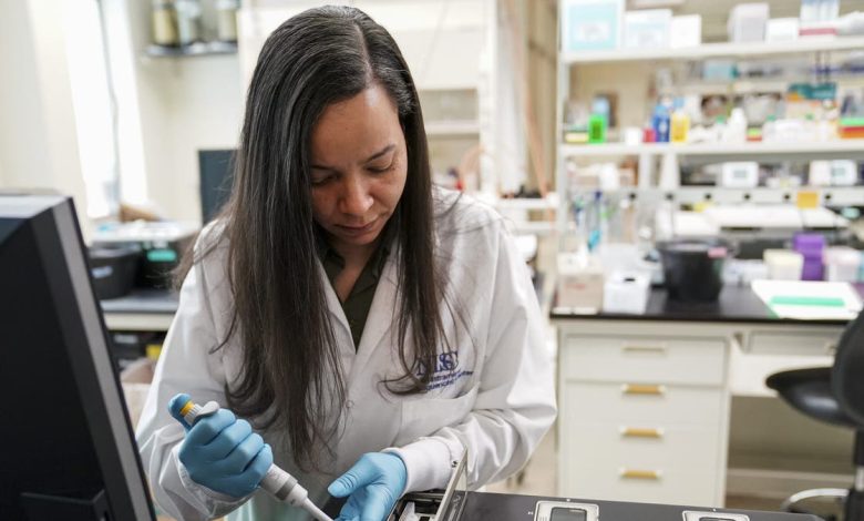 A scientist demonstrates pipetting viscous genomic DNA at the NIH Intramural Sequencing Center in Rockville, MD on April 13, 2023.