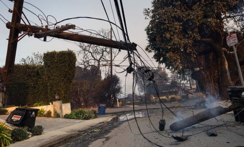 Downed power line