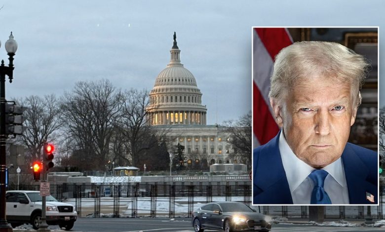 Trump is pictured in front of the US Capitol Building, surrounded by fencing in Washington, D.C., on Friday, January 17, 2025.