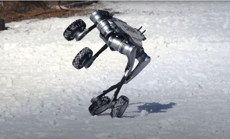 Wheeled wonder robot dog shows off crazy dance moves in all kinds of tough terrain