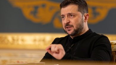 Ukraine's Zelenskyy offers Trump mineral partnership, seeking security