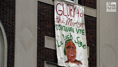 Anti-Israel protestors hang signs from Columbia University in New York City