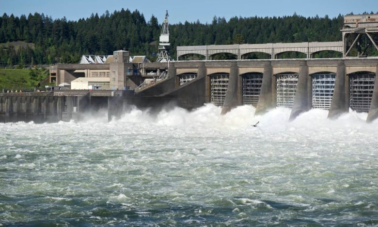 Water flows through the spillway at the Bonneville Dam.