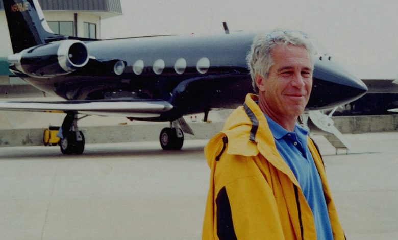 Jeffrey Epstein poses in front of his fleet of private jets