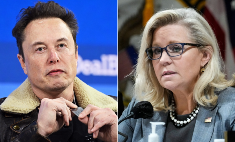 Elon Musk Liz Cheney