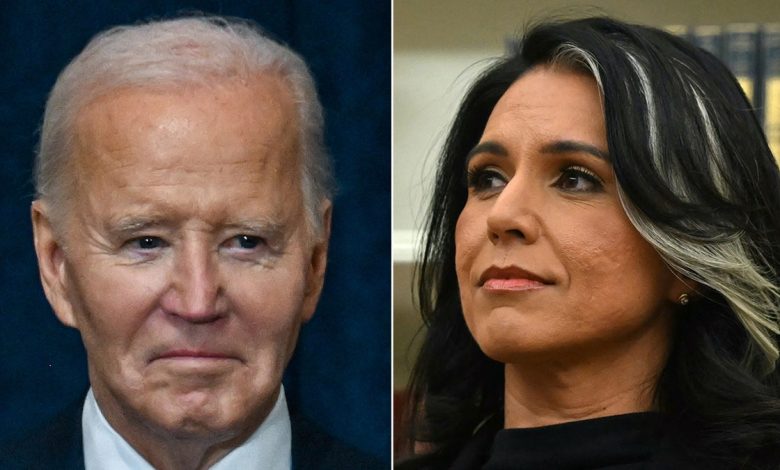 Joe Biden, Tulsi Gabbard