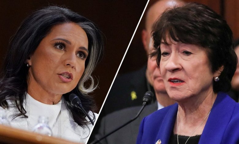 Tulsi Gabbard, Susan Collins