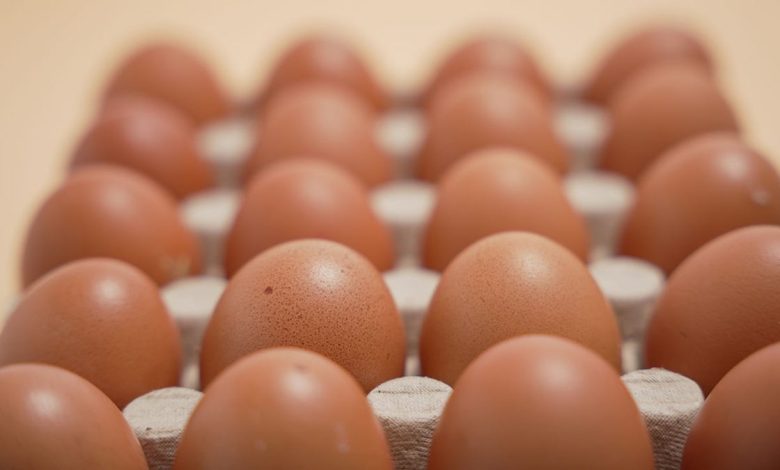 A close up of a dozen eggs in a carton.