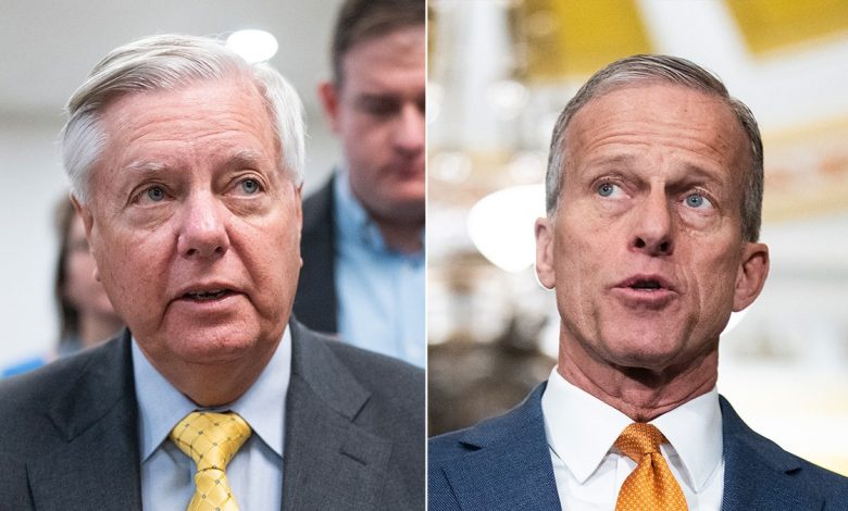 Lindsey Graham, John Thune