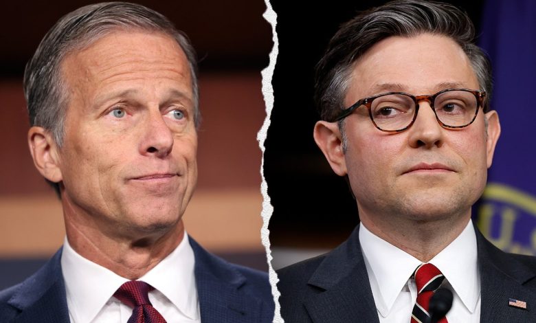 John Thune, Mike Johnson