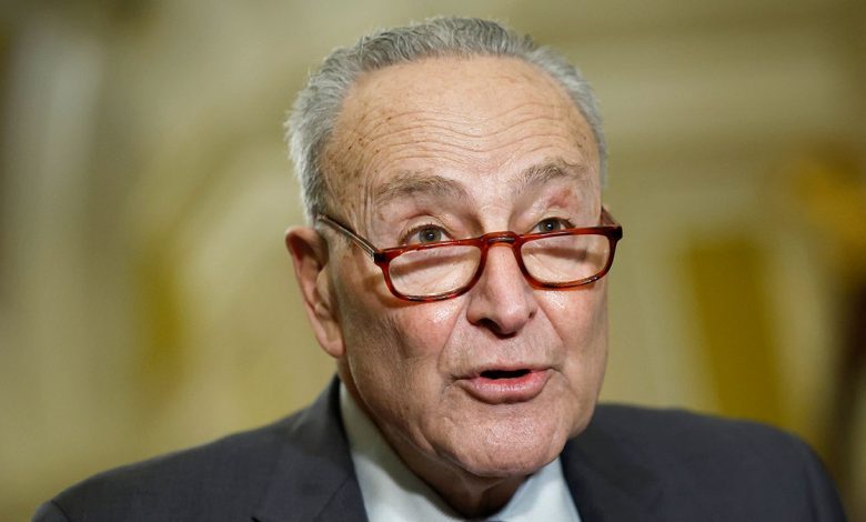 . Senate Majority Leader Chuck Schumer