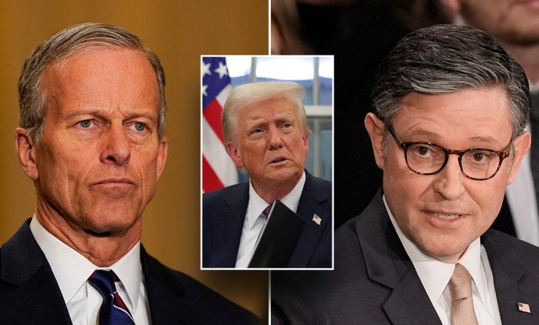 John Thune, Donald Trump, Mike Johnson