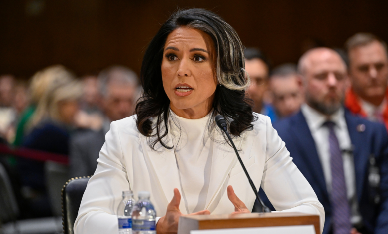 Tulsi Gabbard