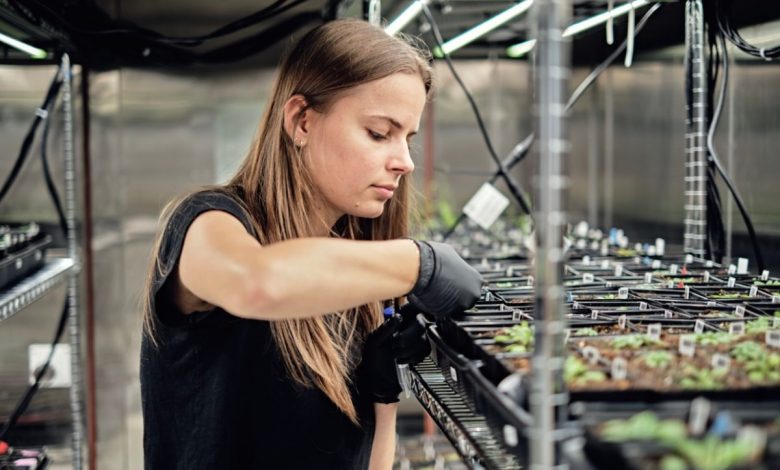 Google's X spins out Heritable Agriculture, a startup using AI to improve crop yield