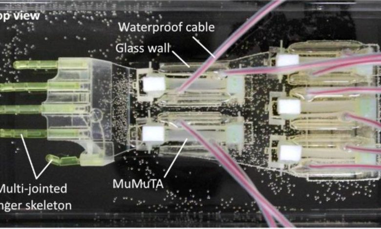 The 2025 Terminator? Lab-grown muscle brings biohybrid robot hand to life