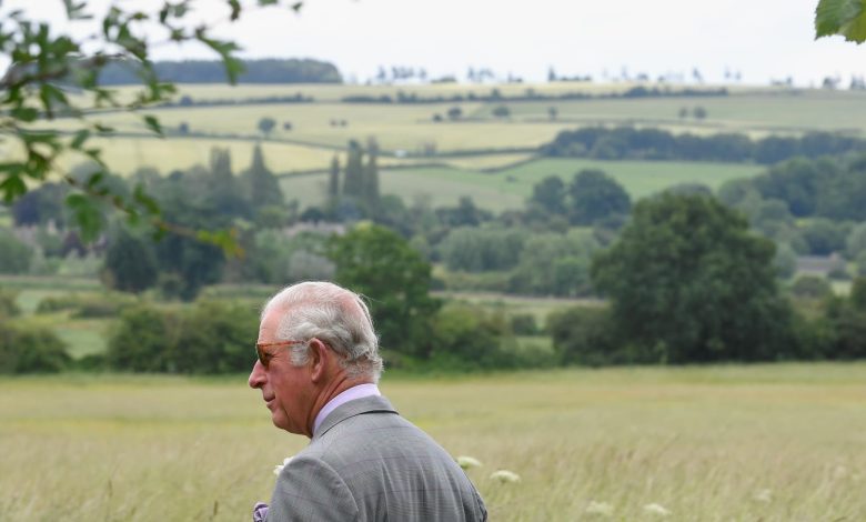 The sustainable farm beloved by King Charles: FarmED, in the Cotswolds