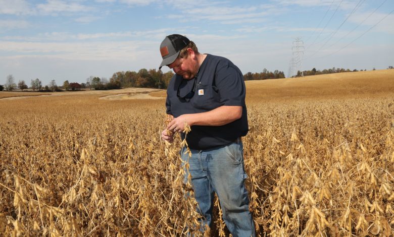 How Trump's trade policy is putting pressure on U.S. farmers