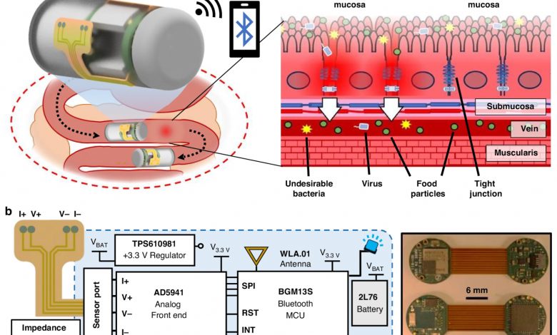 A capsule for monitoring health of gut.