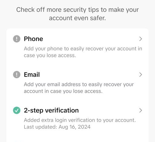 TikTok Security Checkup checklist.