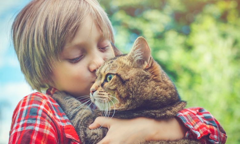 Boy with cat