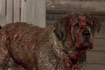 Darren Aronofsky is in talks to direct Stephen King's Cujo for Netflix