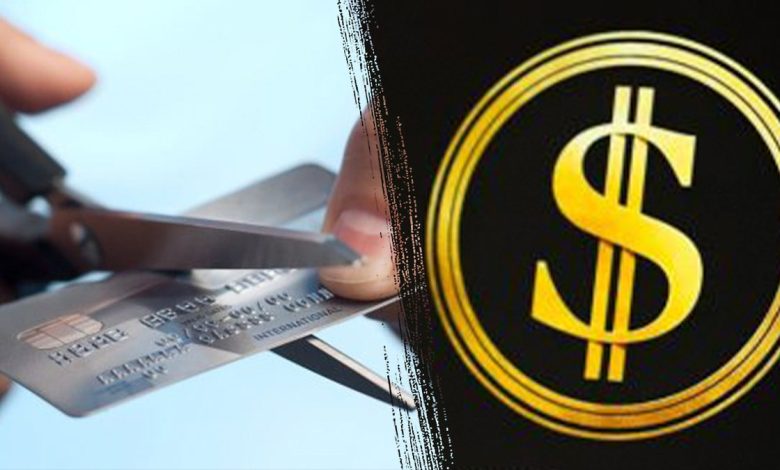 DOGE credit card scissor