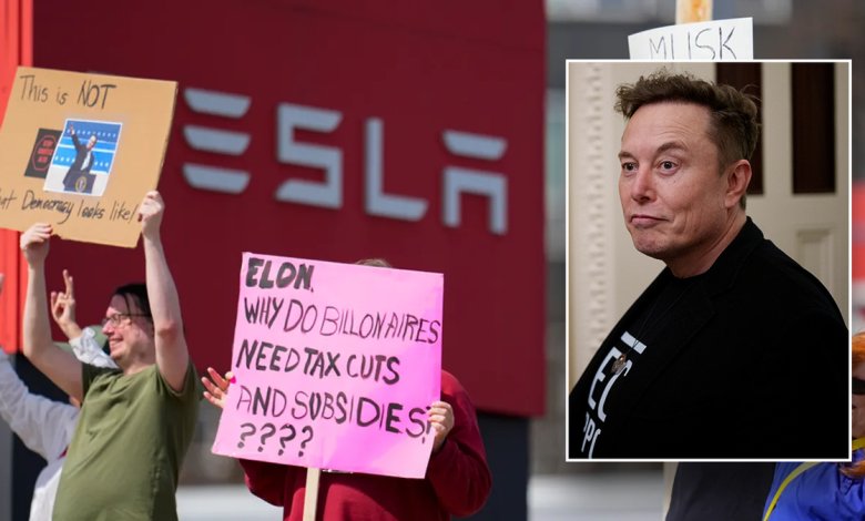 Elon Musk in a photo placed on a pic of protesters