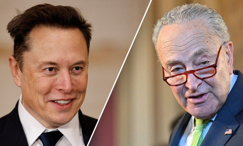 Elon Musk, Chuck Schumer