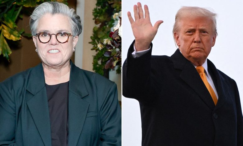 Rosie O'Donnell leaves US after Trump win