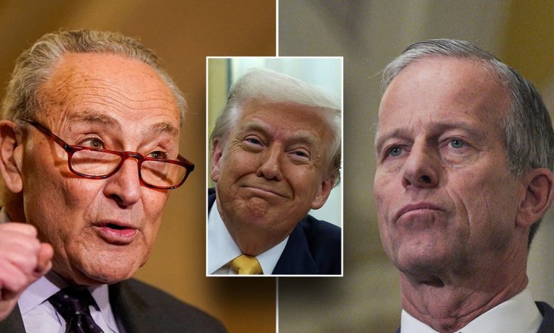 Chuck Schumer, Donald Trump, John Thune