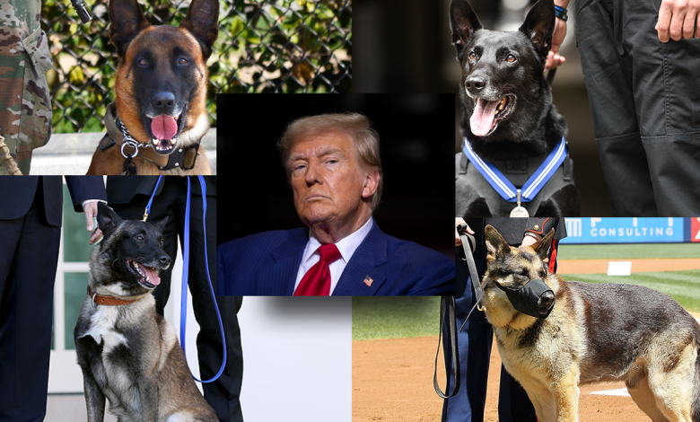 Trump and four military working dogs