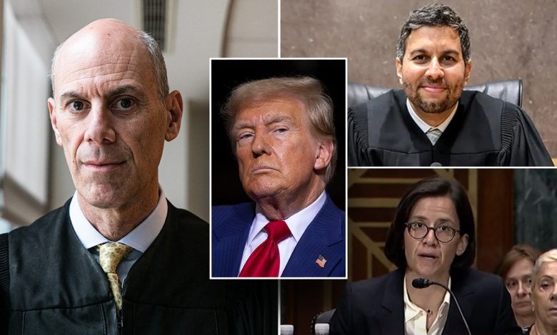 split photo of Donald Trump and Judges Ali, Boasberg, Reyes
