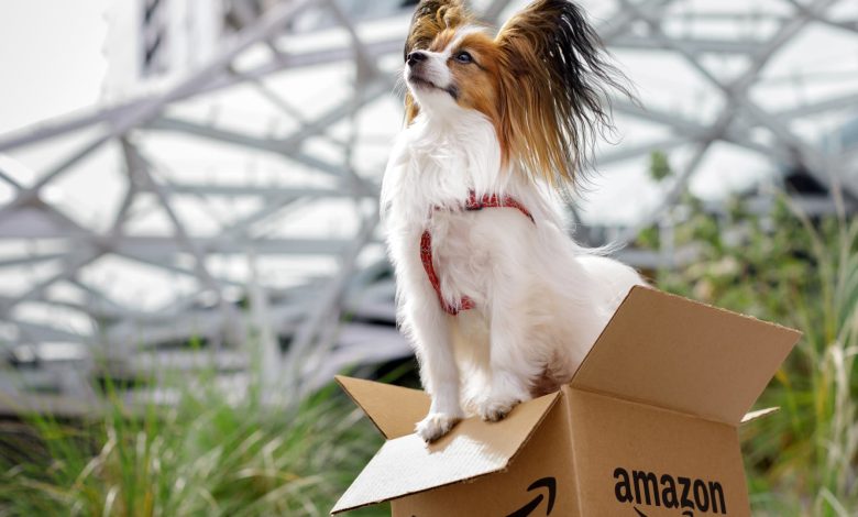 Amazon adds pet prescriptions, expanding online pharmacy offerings