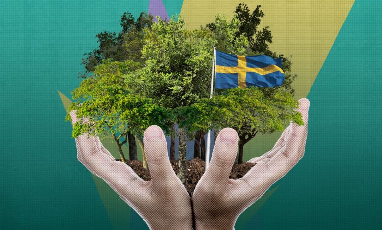 Who owns Sweden's forests?