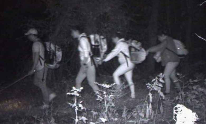 northern border migrants