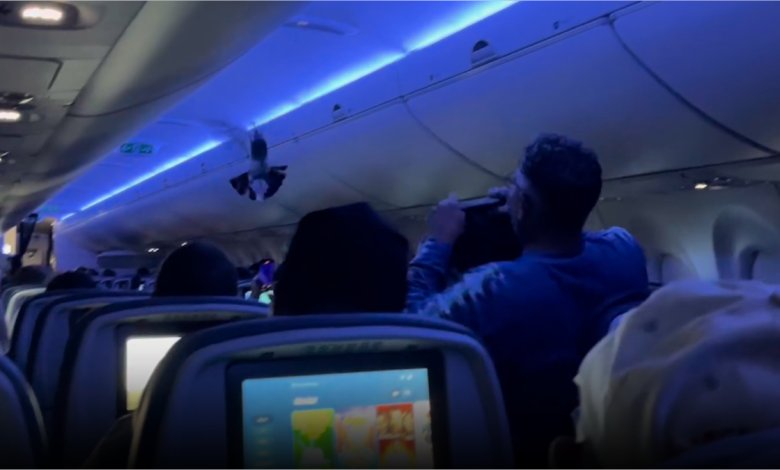 Pigeon inside Delta plane