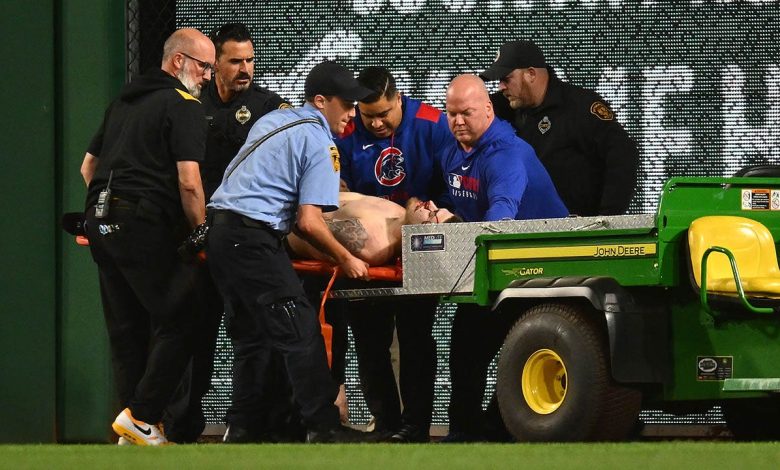 Baseball fan falls from stands in PNC Park during Pirates-Cubs game