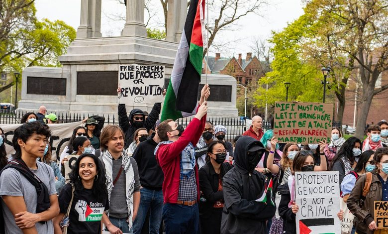 Harvard protester waves Palestinian flag