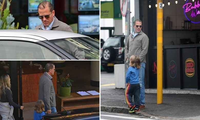 Caught on camera: Hunter Biden in South Africa after Secret Service shield ends