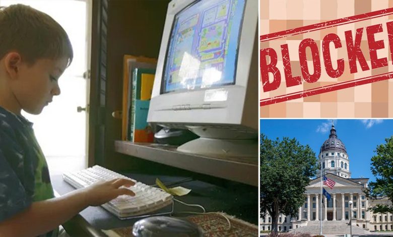 kid at computer, left; blocked graphic, upper right; Kansas capitol, lower right