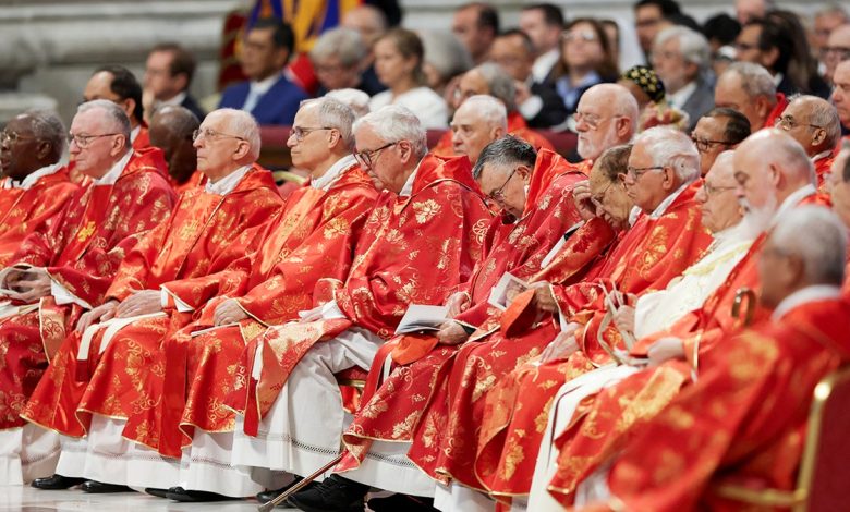 Cardinals gather for conclave to choose new pope and more top headlines