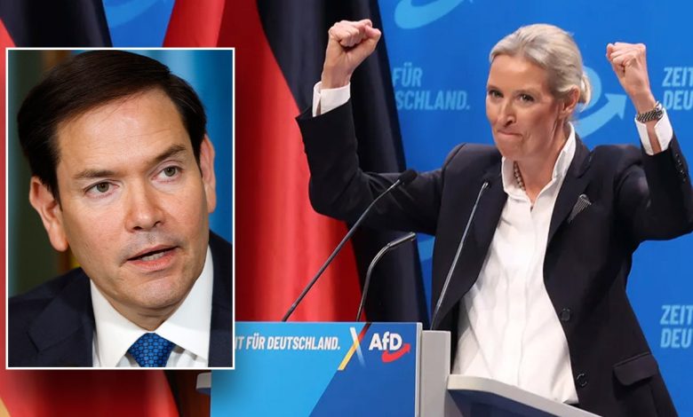 Germany's popular AfD party designated by country's intel agency as 'extremist'