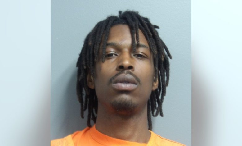 Serus Williams mugshot