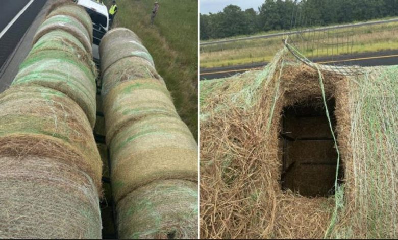 Split of the hay bales on the trailer and a view of the inside