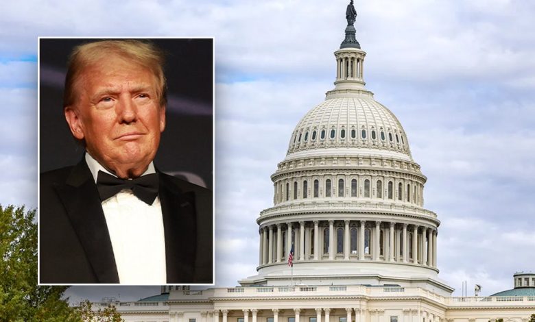 President-elect Donald Trump is pictured in front of the U.S. Capitol