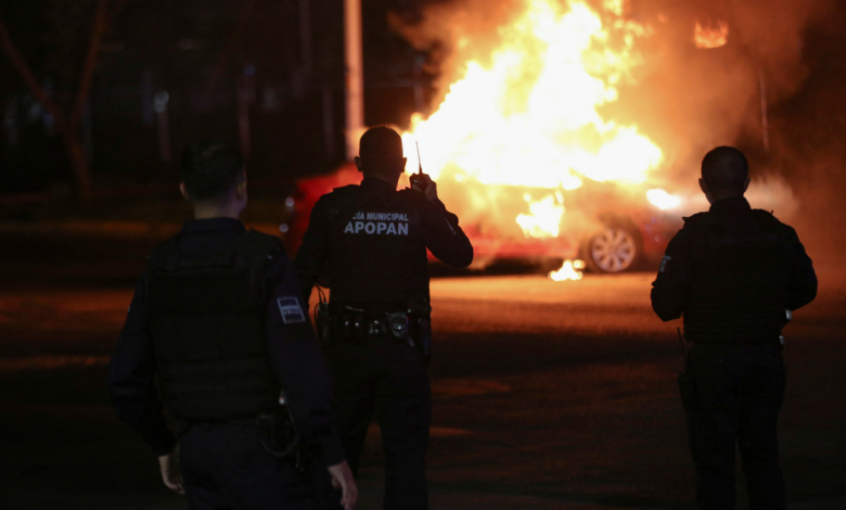 Cartel violence